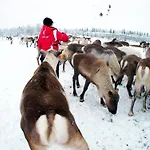 Authentic At The Reindeer Farm Casa vacanze *