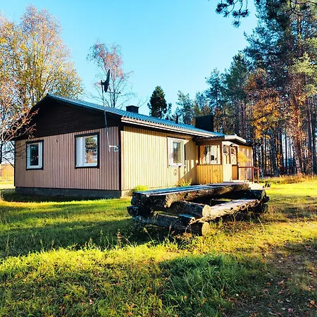 Authentic At The Reindeer Farm