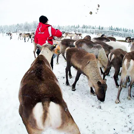 Authentic At The Reindeer Farm Сasa de vacaciones *